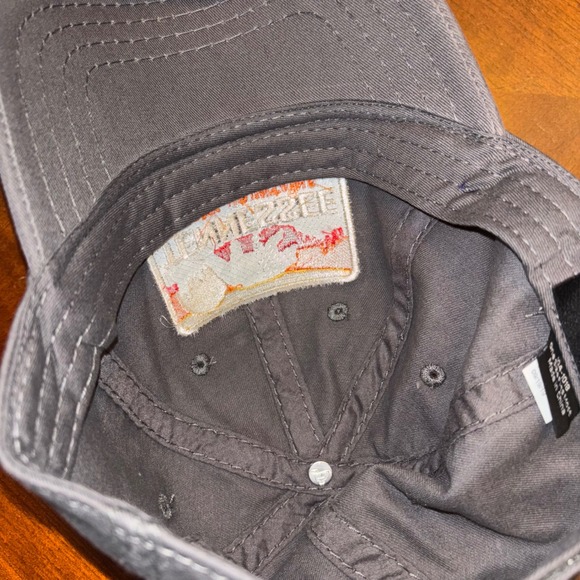 Tennessee Smoky Mountains | OTTO | Distressed Gray Baseball Cap | One Size - Picture 6 of 9